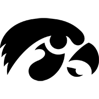 寶安落羽杉